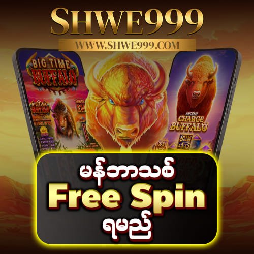 shwe999