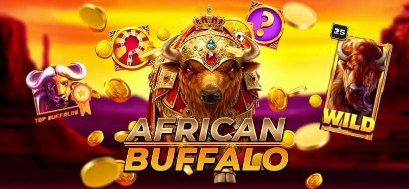 african buffalo